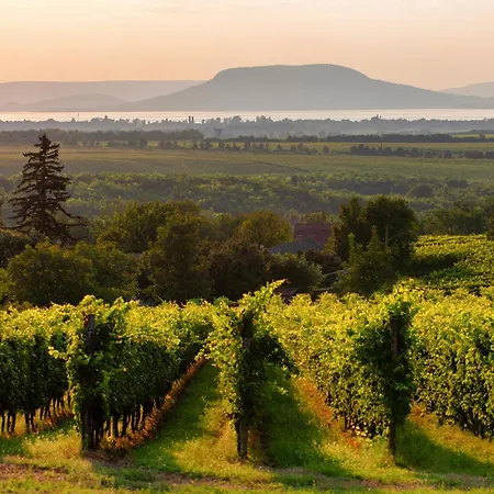 Appartement In 19129