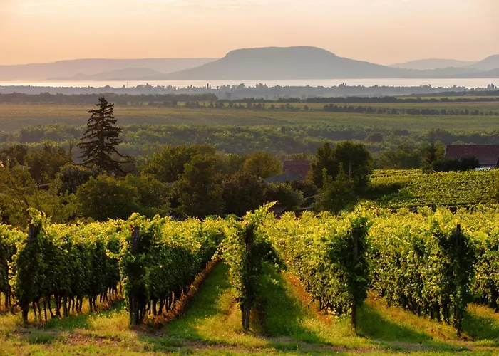 Appartement In 19129